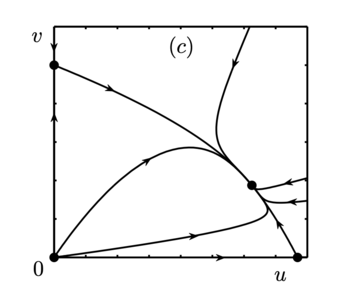 Gauze img4.png